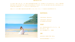 アーティスト：SAYAKAさん